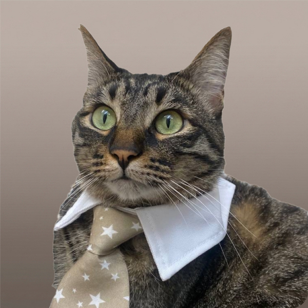 team-member